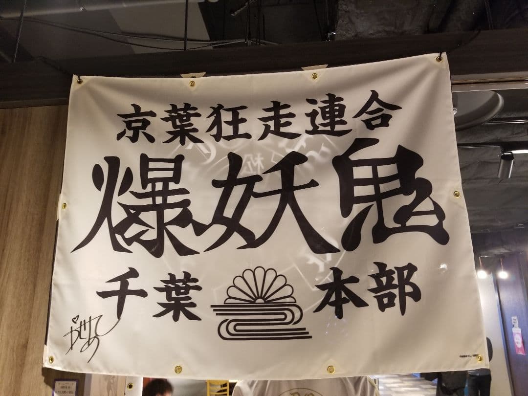 カメレオン　チームフラッグ CHAMELEON REDUX STORM GORE-TEX カメレオンリダックスストーム