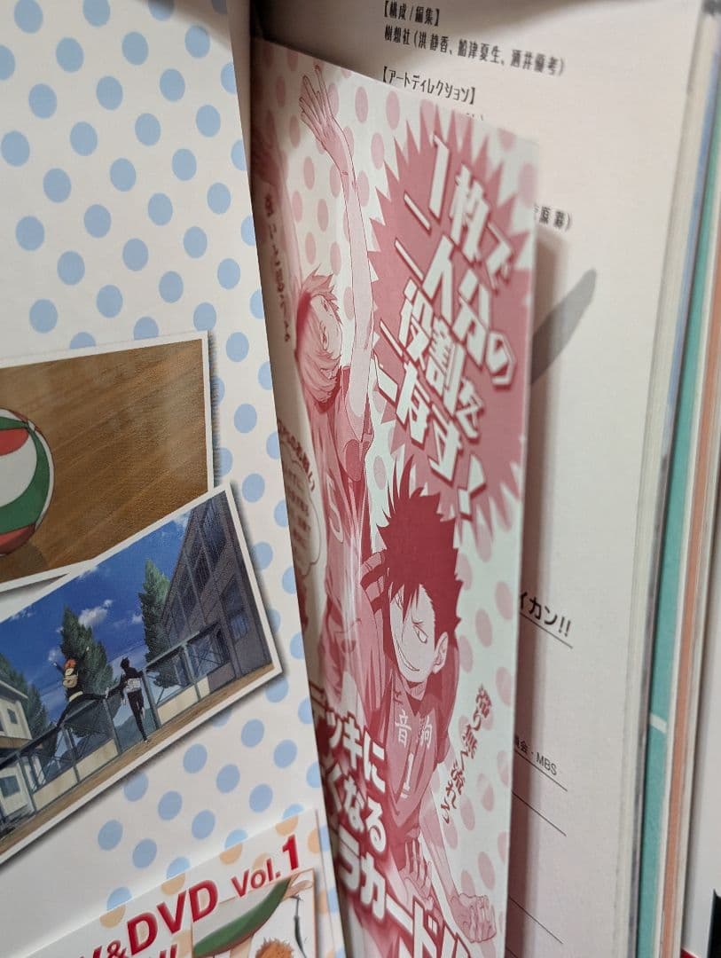 49冊】ハイキュー!! 1〜45巻 TVアニメチームブック/セイシュンメイカン