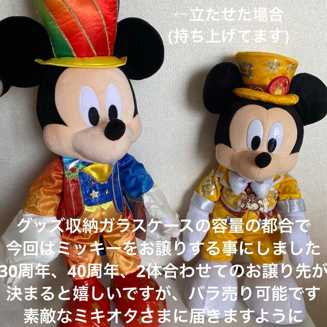 ディズニーリゾート 40周年 ぬいぐるみ ミッキー 70cm 巨大 限定 レア