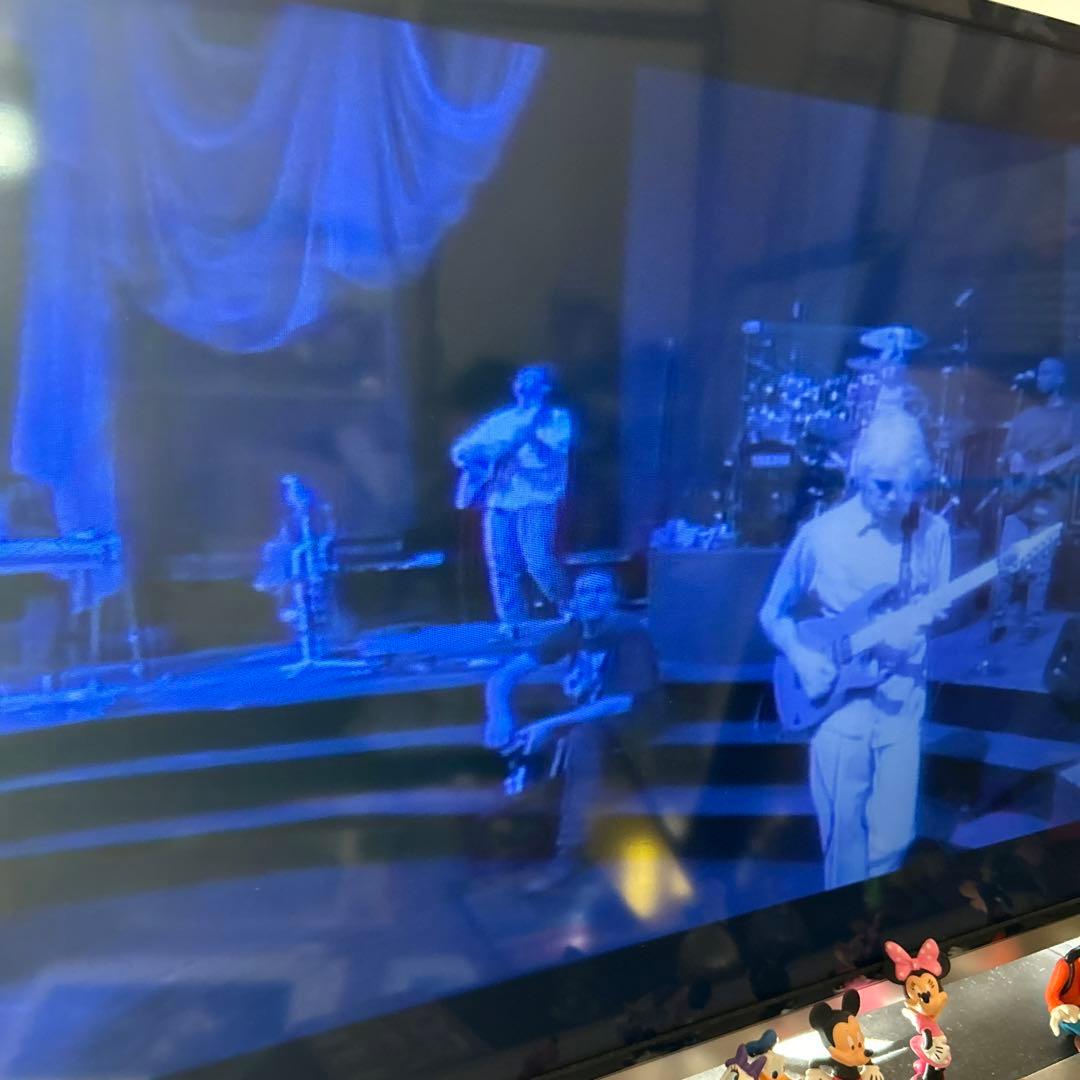 ☆初ライブ映像☆k.d.lang live in sydney レーザーディスク