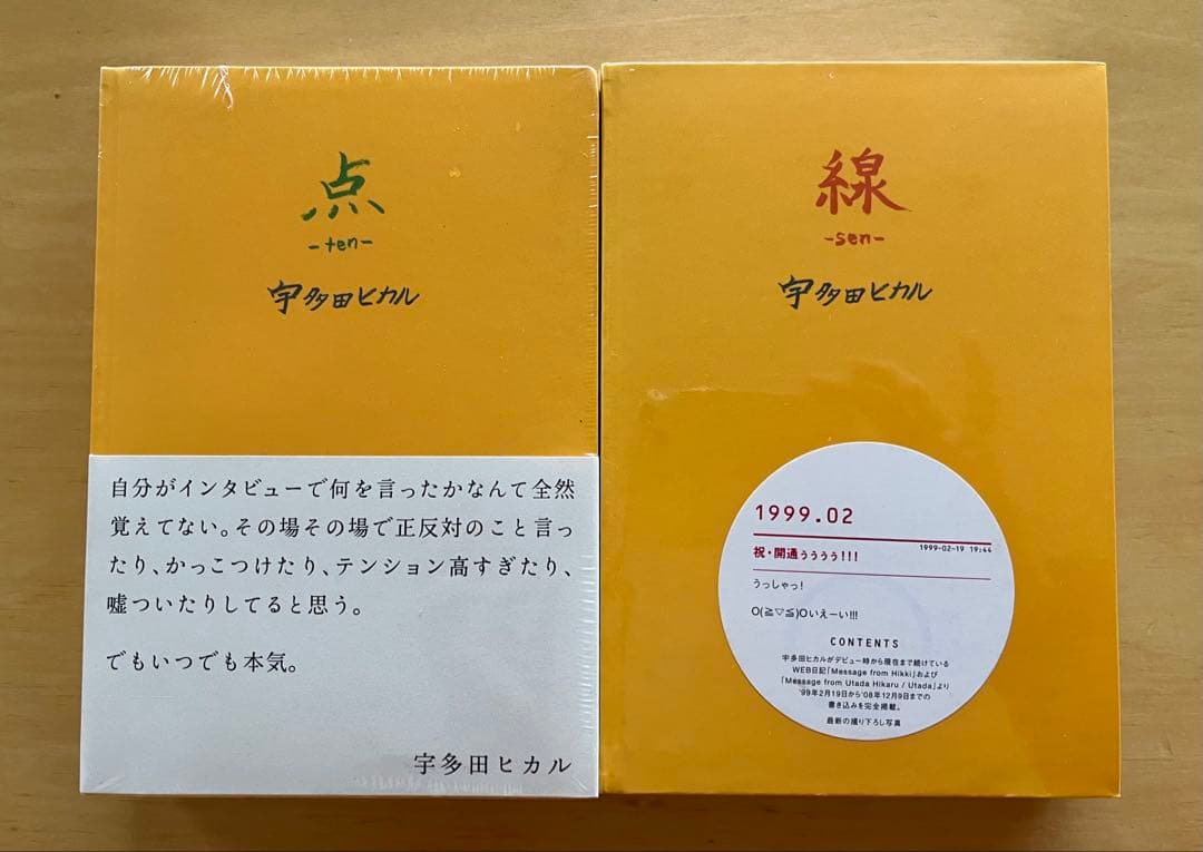 新品・未開封・未読】宇多田ヒカル 点-ten-・線-sen- 2冊セット