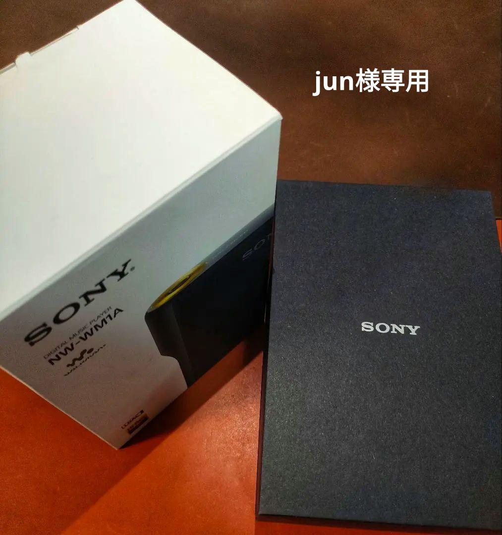 SONY ウォークマン NW-WM1A SONY NW-WM1A Black WM1 Series Walkman Digital Audio Player | eBay