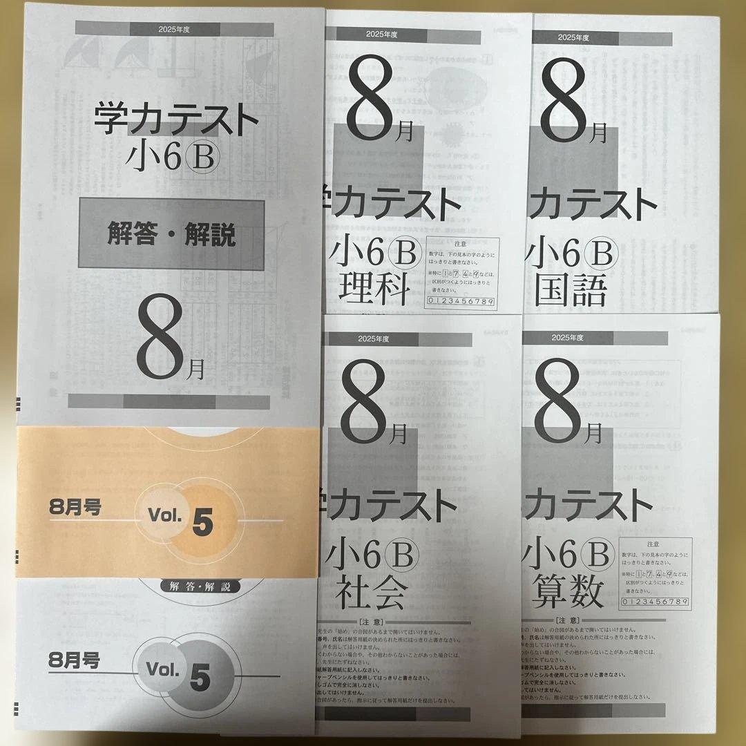 最新版］2025年度8月 育伸社 小6 B学力テスト - メルカリ