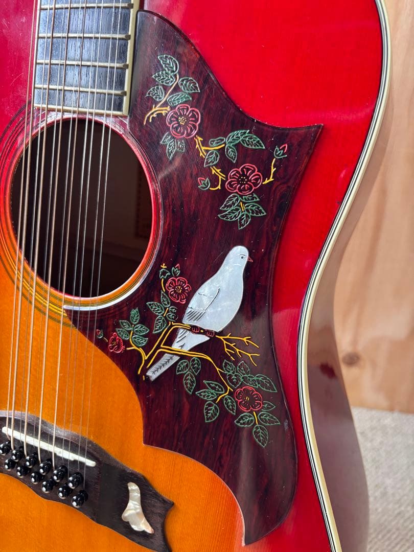 希少Aria / マツモクDove12弦 12WD40CH 純正ピックガード美品