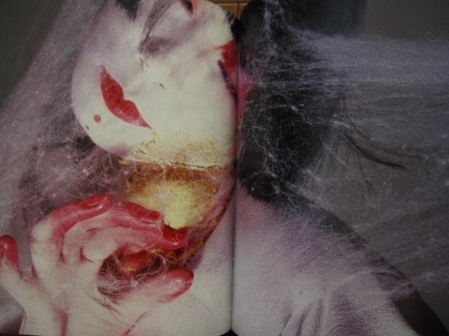 光と鬼 横須賀功光の写真魔術 初版 帯付き 山口小夜子 - メルカリ