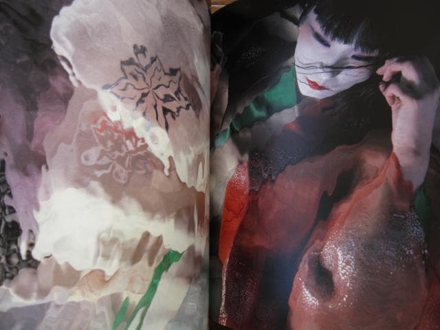 光と鬼 横須賀功光の写真魔術 初版 帯付き 山口小夜子 - メルカリ