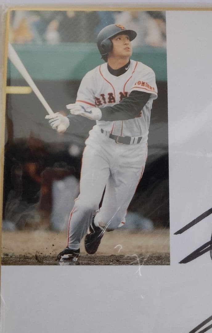 高橋由伸 読売ジャイアンツ 巨人軍選手サイン色紙 日本テレビ 愛は地球