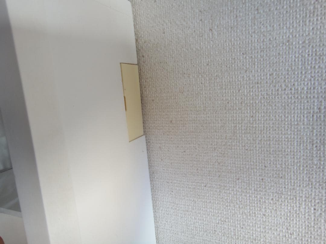 ハナヤマ キャストパズル・はずる 85点 ＋ 他10点 壁固定ショーケース