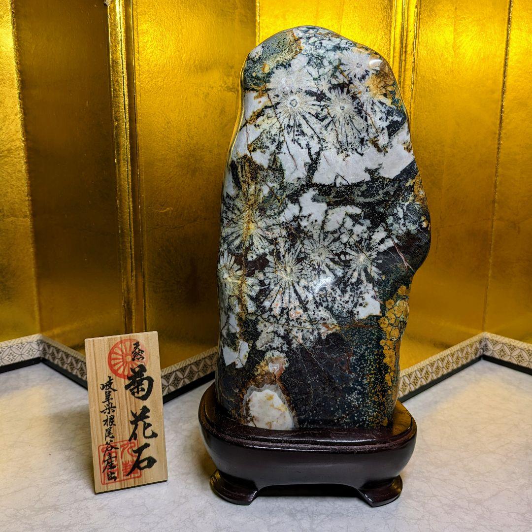 菊花石 岐阜県根尾谷産4.0㌔ 鑑賞石 観賞石 水石 盆石 鉱物 天然石