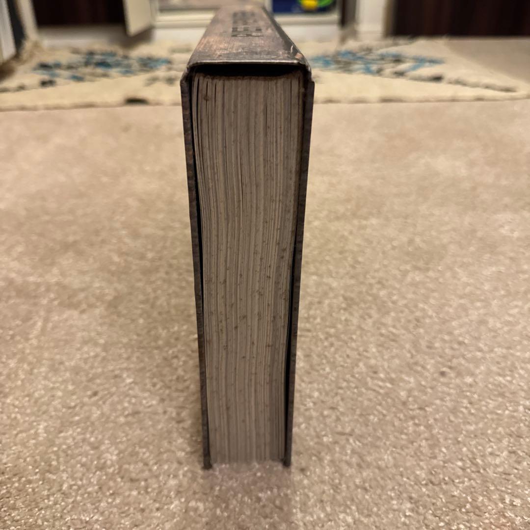 【ニハチさん専用】美品【PIET HEIN EEK】　作品写真集　boek