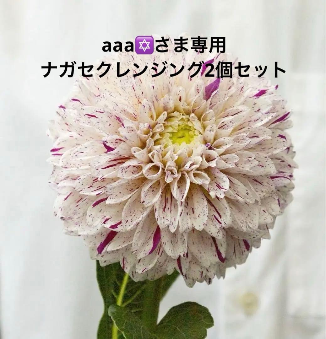 aaa✡さま専用　クレンジング2個 マツエク対応クレンジング】ジェリークレンジング ライクアヴァージン