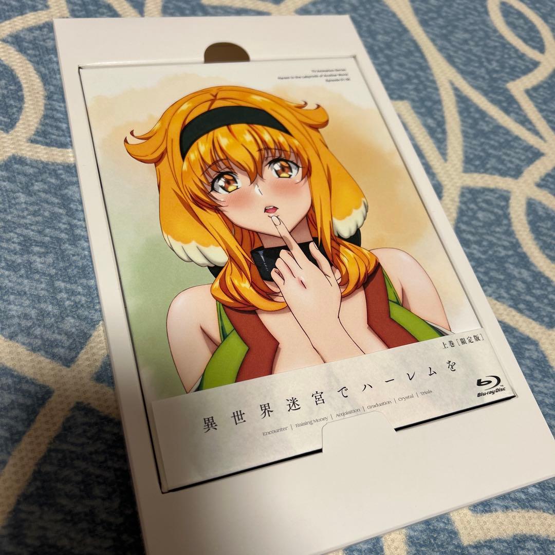 異世界迷宮でハーレムを Blu-ray BOX 上巻限定版　ロクサーヌフィギュア