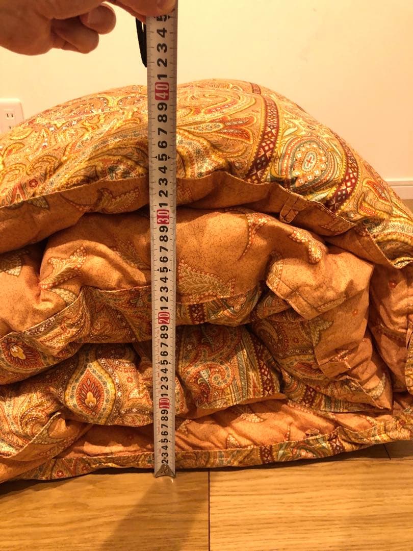 大阪西川 超長綿100% グースダウン93% 手摘み 1.2k 一層 日本製 赤