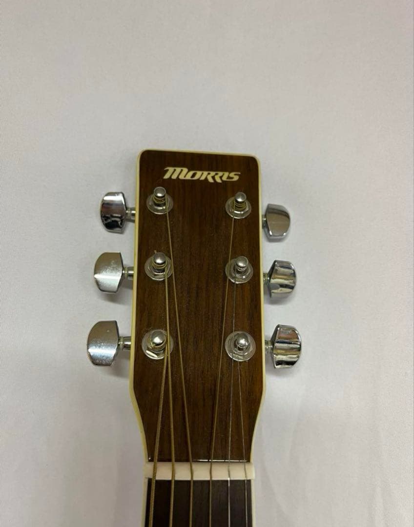 M*o様 Maurice モーリス/アコースティックギター MD-528
