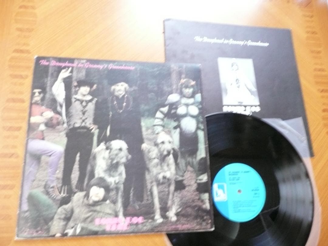 星野源アナログレコード 邦楽 & Mad Hope 写真付きフォトブックのおまけ