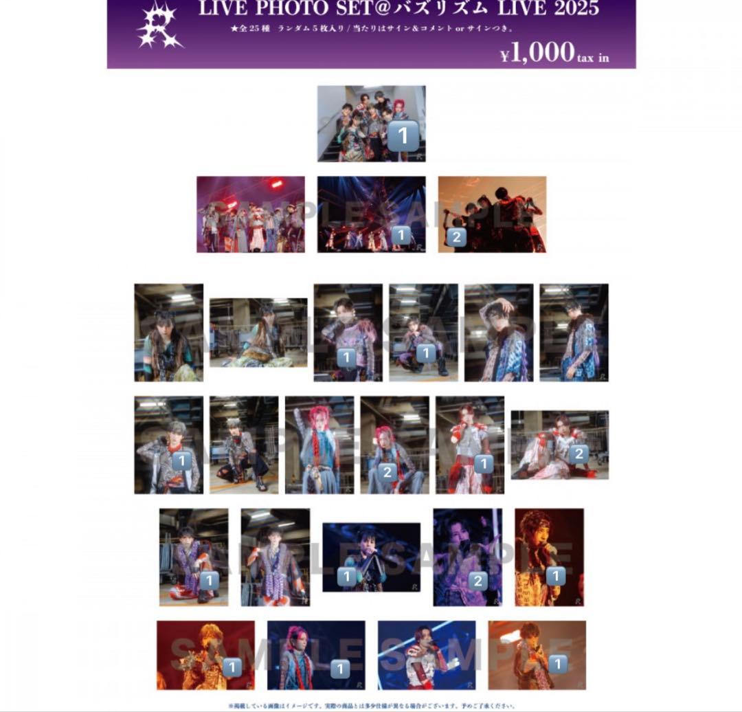 龍宮城 S トレカ アクスタ バズリズム OSHIBAI 生写真 まとめ売り