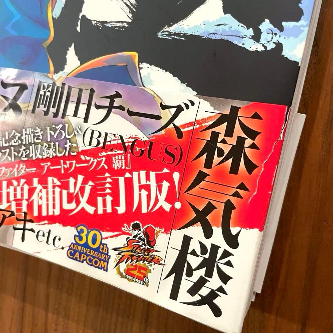☆初版 帯付き 良品☆ストリートファイター アートワークス 極 画集