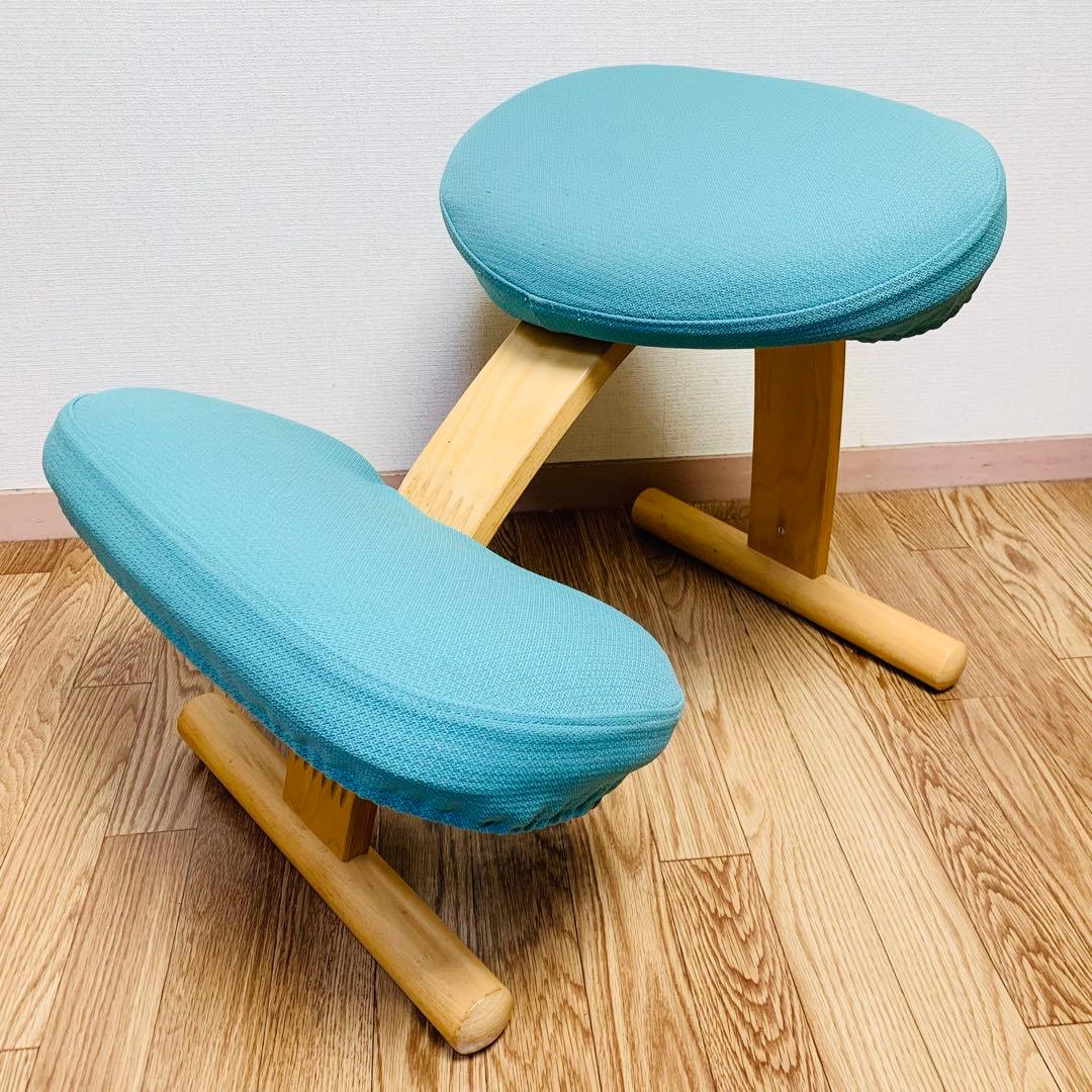 バランスチェア イージー カバー付 サカモトハウス (現バランスラボ）調節ガイド バランス イージー専用｜きせかえカバーnew バランスラボ – バランス