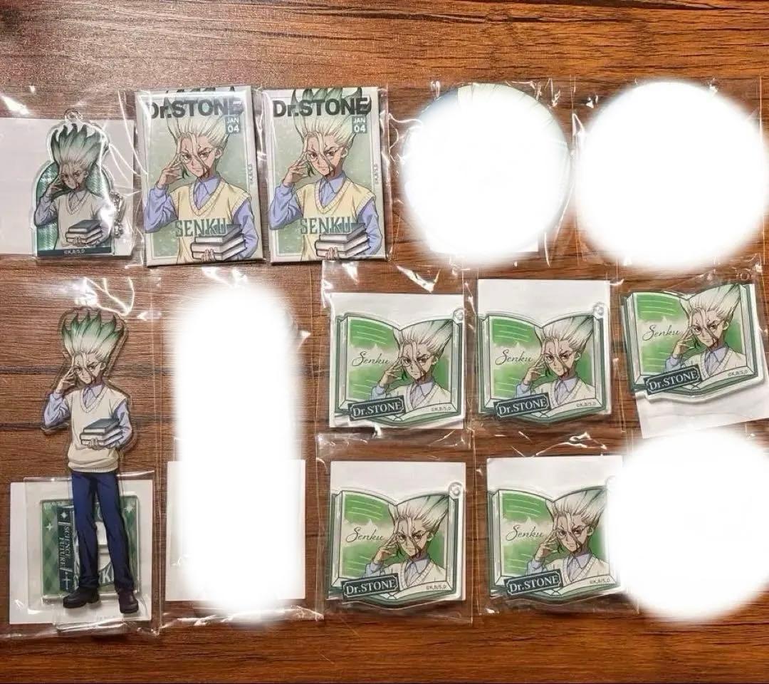 くじ引き堂 Dr.STONE 読書の秋編 石神千空 アクスタ 缶バッジ セット