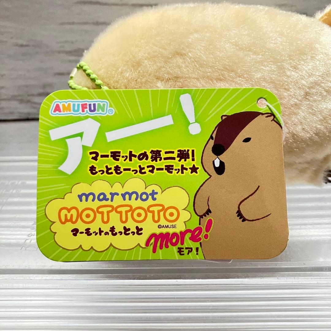 マーモットのもっとっとモア☘️LMC コンプセット E キャラクター