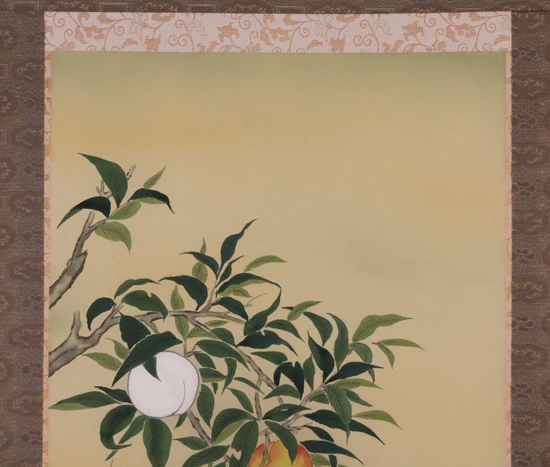 模写】日本画 観山 紅白三桃図 花鳥 雀 絹本 掛軸 彩色 MA989 - メルカリ