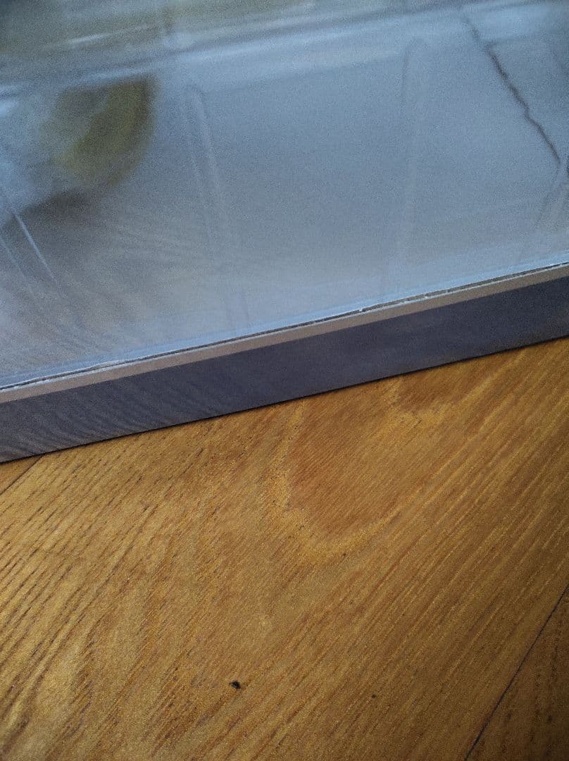 アストレア 1/6スケール PVC製フィギュア