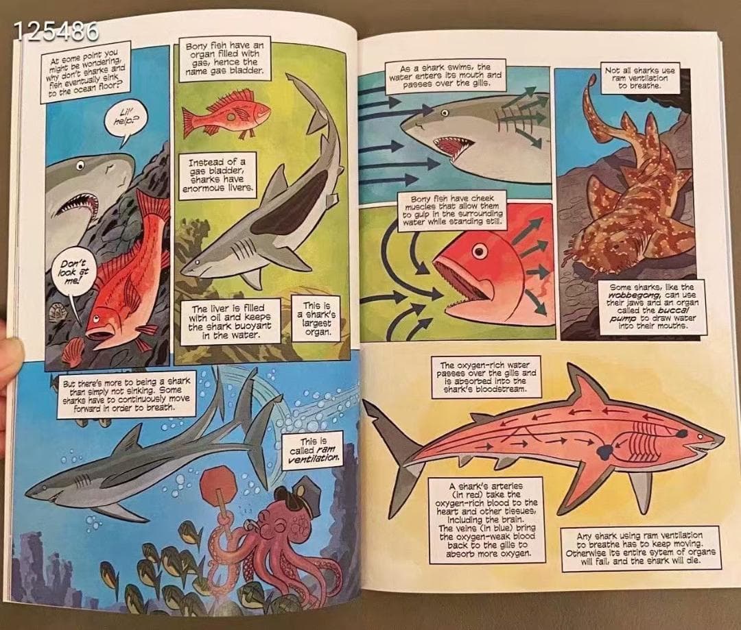 新品未使用 Science Comicsシリーズ 31冊　洋書　英語絵本　漫画