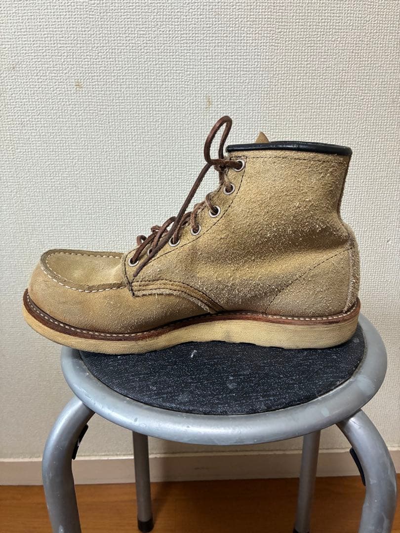 レッドウイング　アイリッシュセッター　8173 7.5d