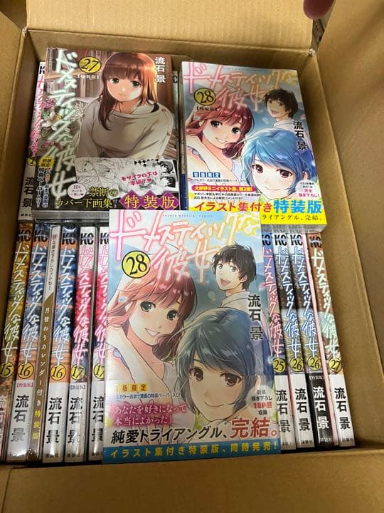 ドメスティックな彼女　全巻初版帯付　特装版付