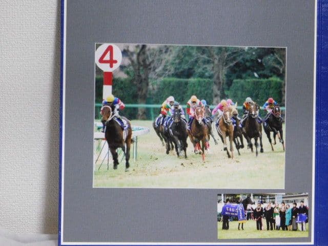 シンボリクリスエス 第47回有馬記念実況放送付アルバム 2002 オリビア