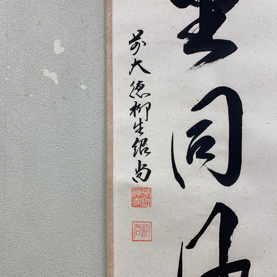 美品 掛け軸 柳生芳徳寺 橋本紹尚作「千里同風」共箱 茶掛け - メルカリ