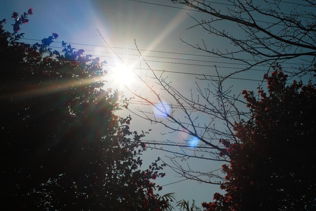 整備テスト】オリンパス Zuiko Auto-S 40mm F1.4 379 - メルカリ