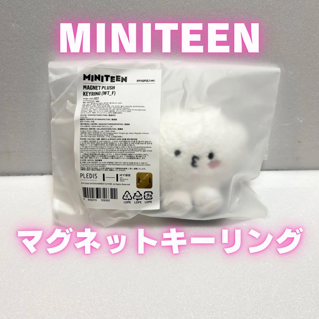 MINITEEN MAGNET PLUSH KEYRING ウジ - メルカリ