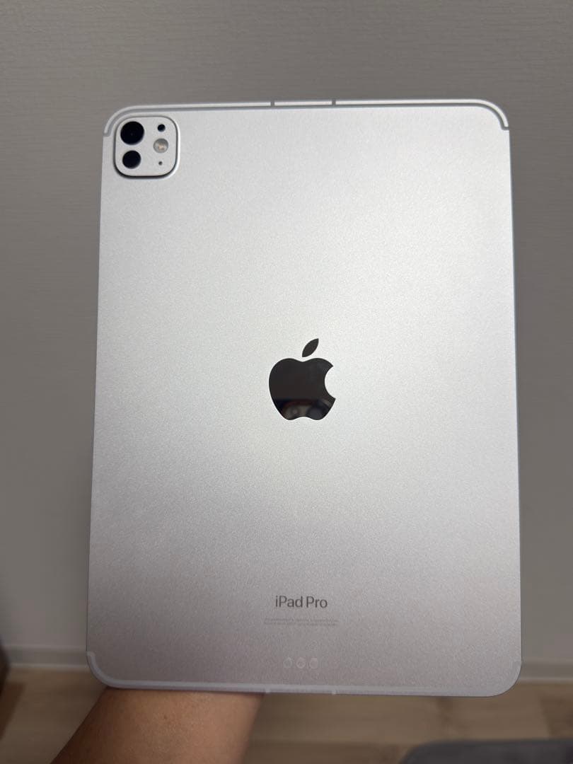 Apple iPad Pro 11インチ (M4) 256GB 美品 Apple 11 inch iPad Pro M4 chip Built for Apple Intelligence Wi Fi