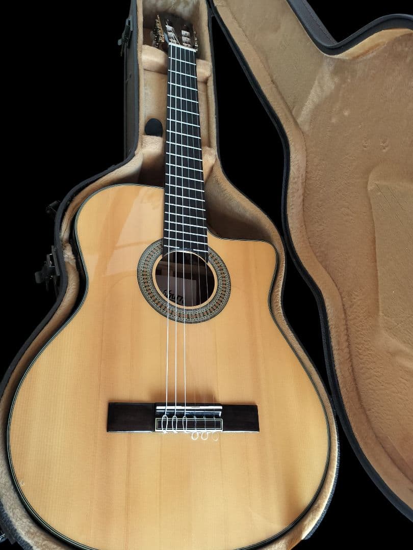 本日迄☆エレガットギター☆ワッシュバーン Washburn C64SCE☆ - メルカリ