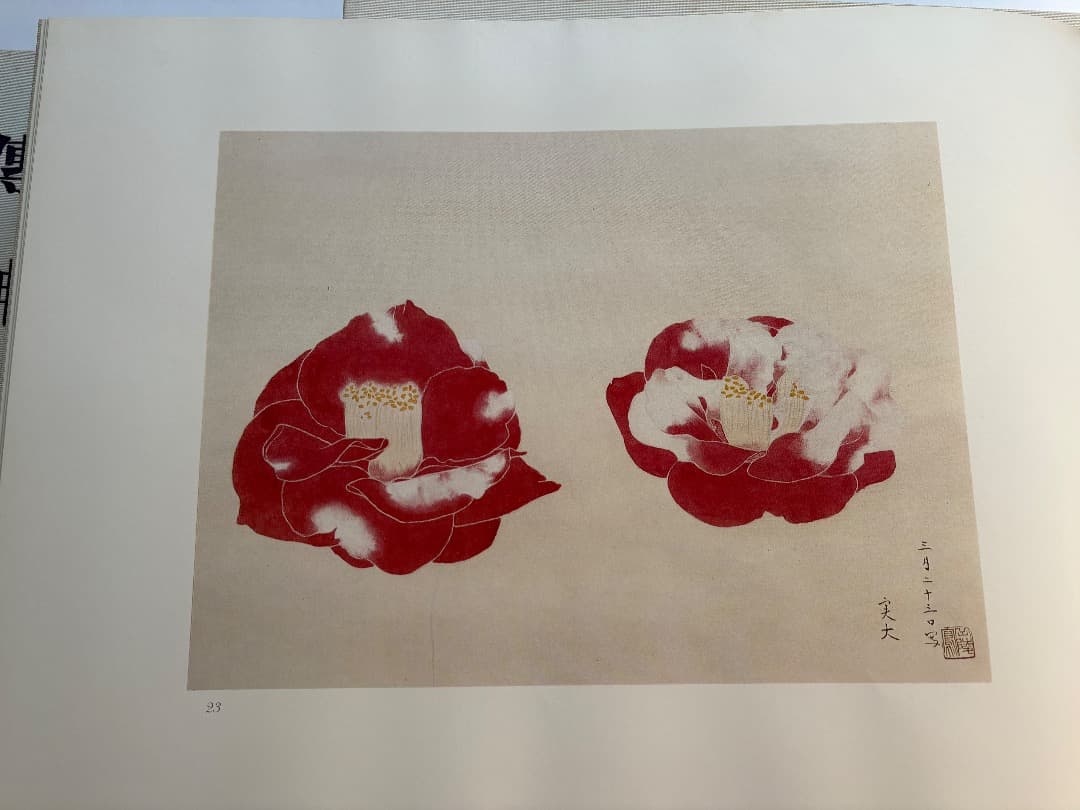 傳神譜　中村岳陵　4冊　写生画集　10.2kg 大型本画集　日本画　絵画