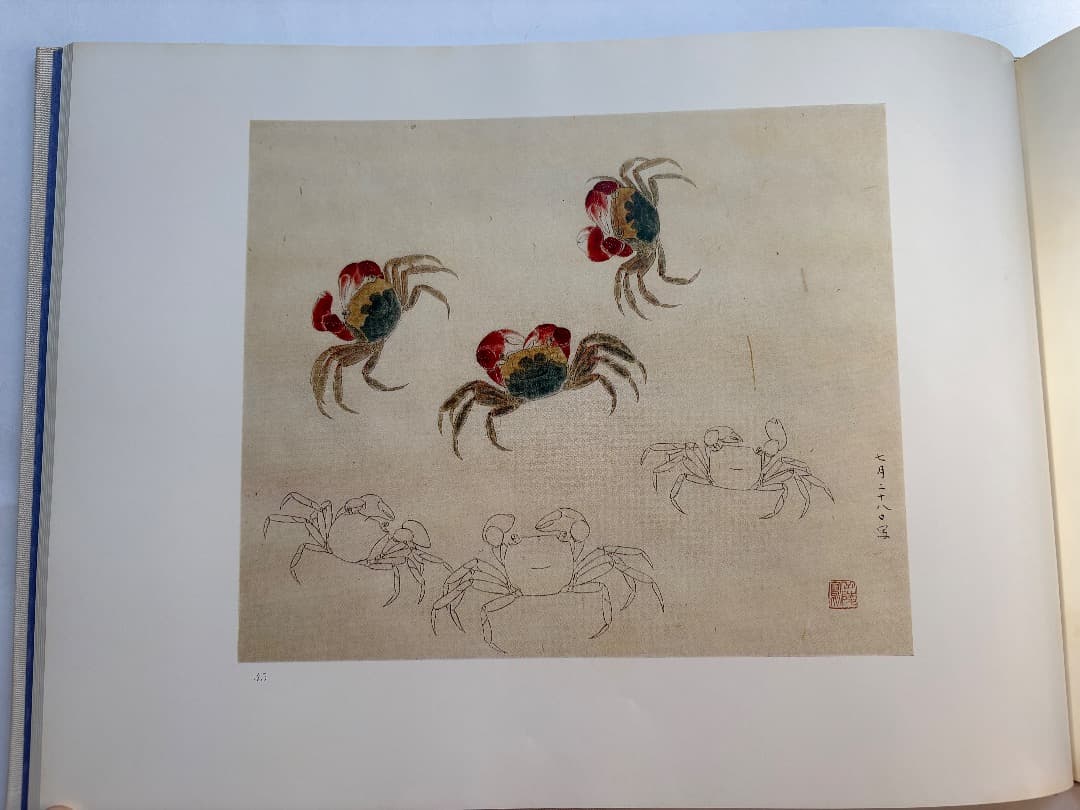 傳神譜　中村岳陵　4冊　写生画集　10.2kg 大型本画集　日本画　絵画