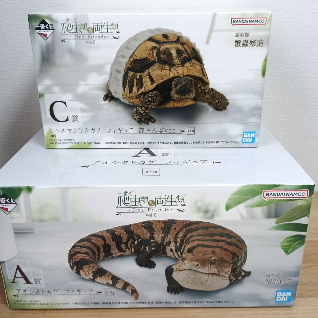 【一番くじ】爬虫類＆両生類 A賞 アオジタトカゲフィギュア　C賞ヘルマンリクガメ 日版】『一番くじ 爬虫類＆両生類～Tiny Friends～vol.2』 🐉彈塗龍一