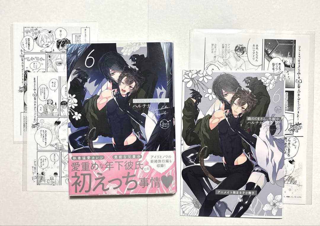 38点セット 森のくまさん、冬眠中。 ハルチカ