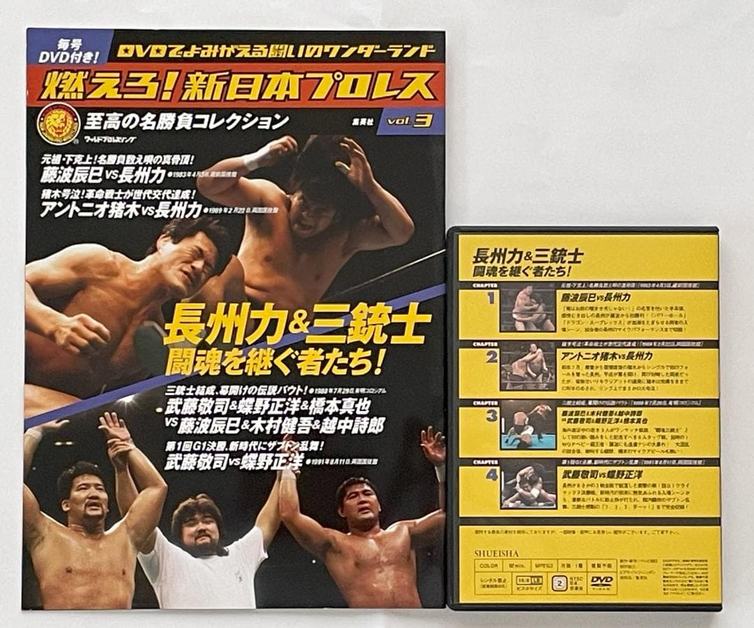 燃えろ！新日本プロレス vol.1～vol.11 DVD (冊子+カード付き)