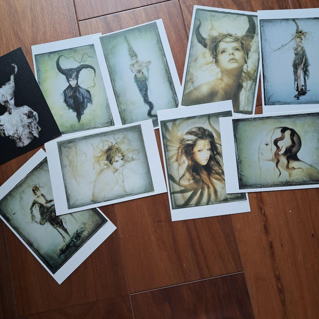 激レア 野波浩 サイン入り 陶酔・催淫セット シリアルナンバー おまけ