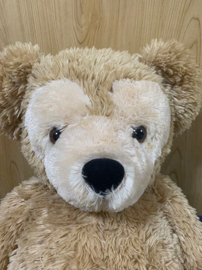 最終お値下げです希少お顔の可愛いダッフィー初期の旧Lサイズです