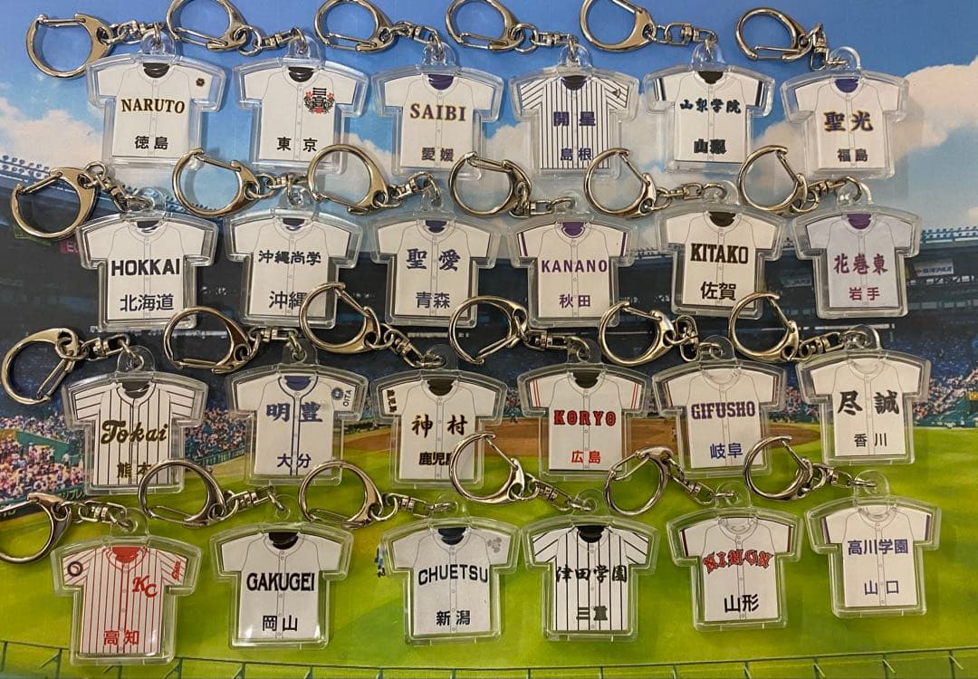 第107回全国高校野球選手権大会記念キーホルダー【県岐阜商】【他の