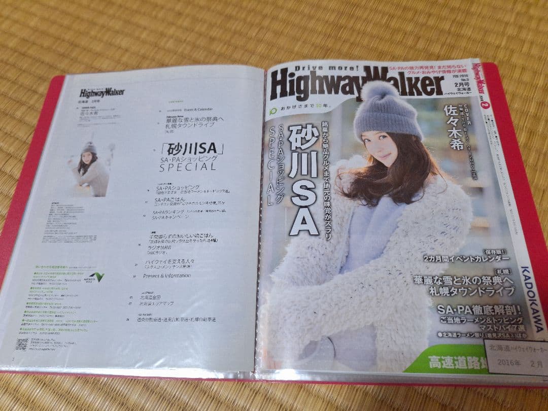 佐々木希(1冊200円計算)42冊分100ページ切り抜きしファイリング済み