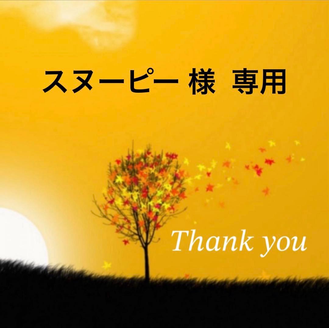 アンファティ シャンプーNA２本 ルージュ ピンク１個 アンファティ シャンプーNA2本 ルージュ ピンク1個 アンファティ