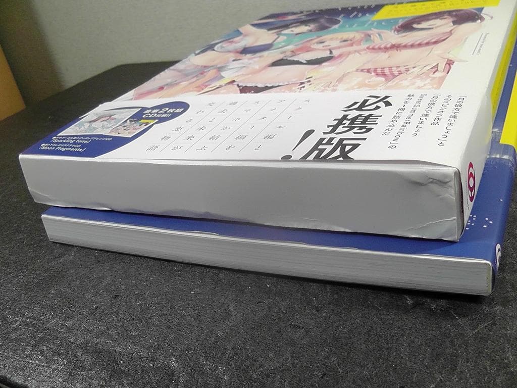 【CD2枚 未開封】 月の彼方で逢いましょう ビジュアルファンブック