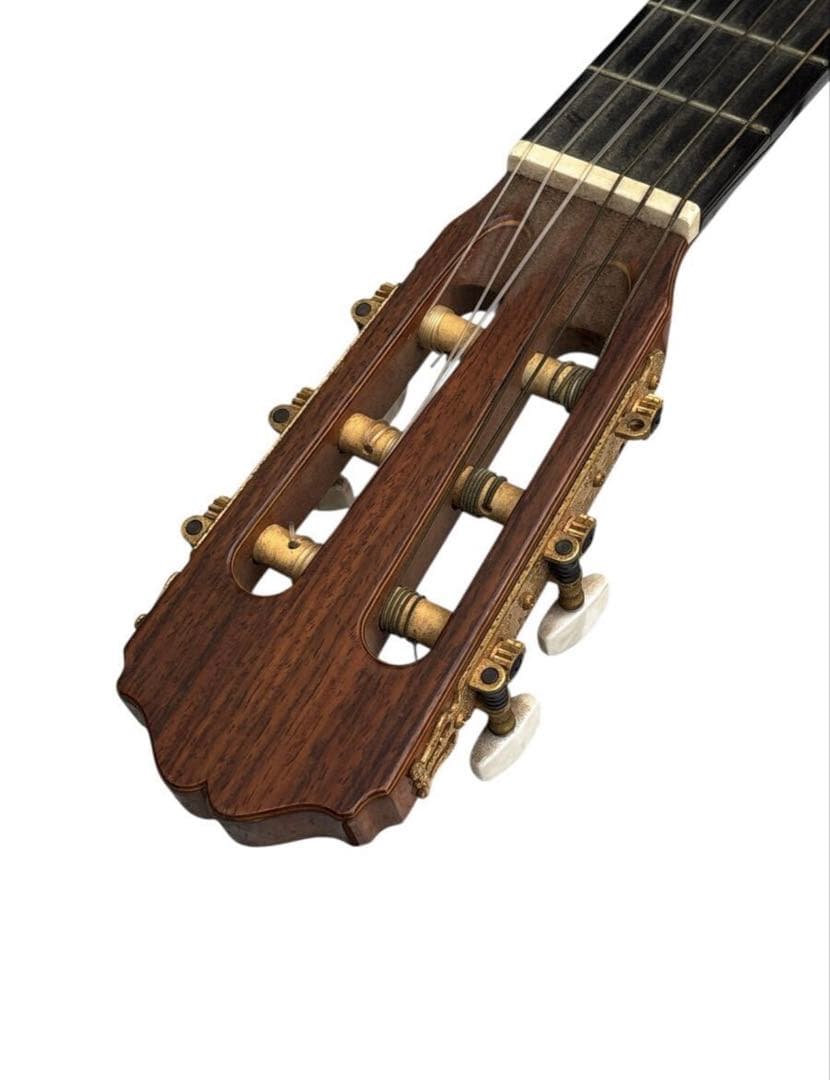 タカミネ Takamine No.5 クラシックギター /弦楽器