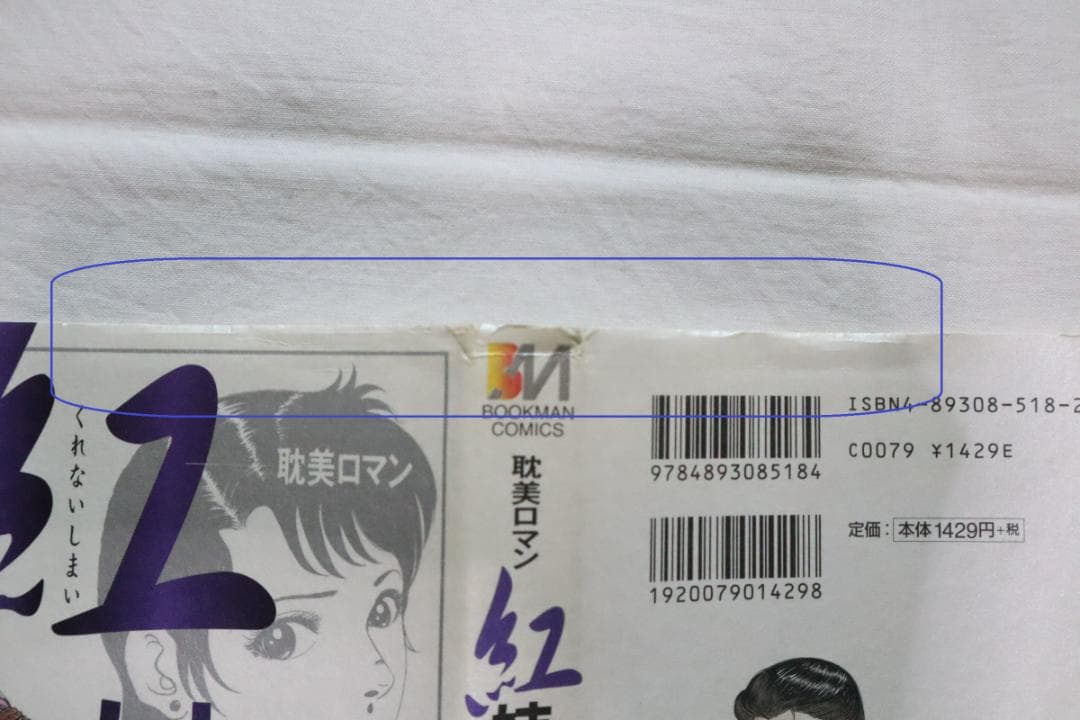 紅姉妹 耽美ロマン 3,4巻 2冊セット 如月次郎 団鬼六