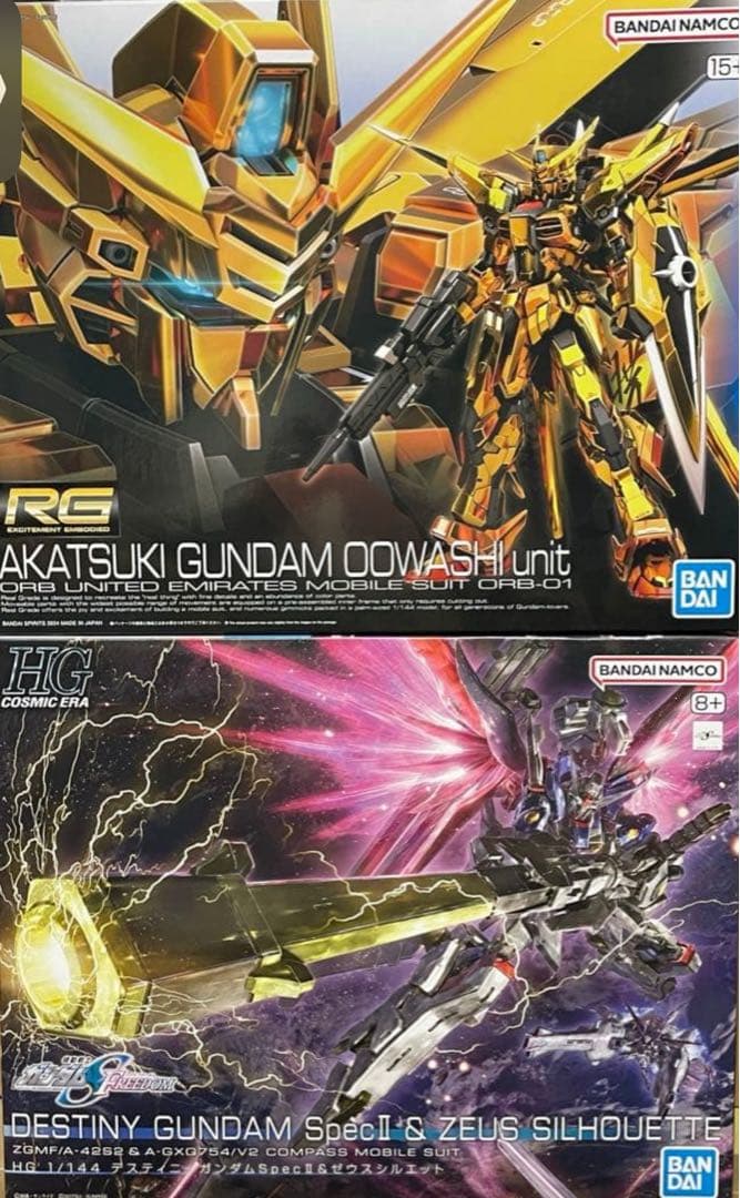 ＲＧアカツキ＋HG1/144 デスティニーガンダムSpecII&ゼウス ガンプラ】HG 1/144『デスティニーガンダムSpecII&ゼウスシルエット