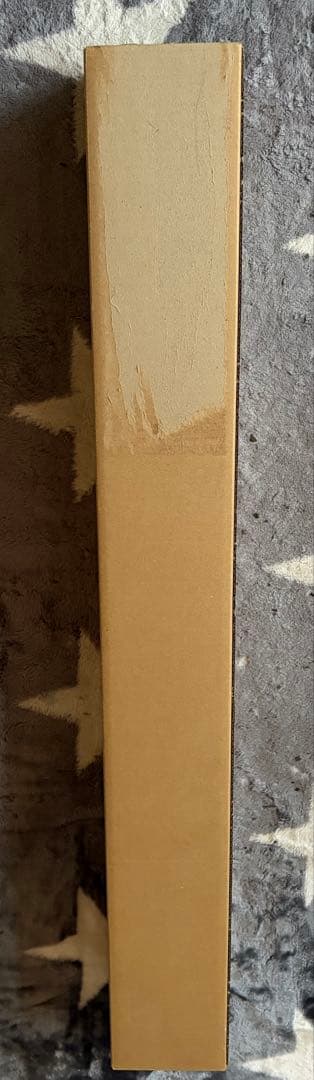 超レア非売品！初期！北海道日本ハムファイターズ現監督新庄剛志監督